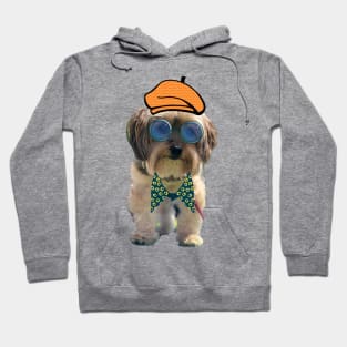 Koda a refined old dawg Hoodie